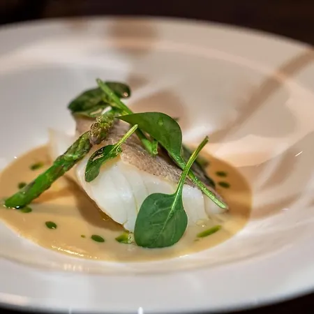 Hotel Bilder Boutique